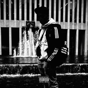 Stupid *****! (Explicit)