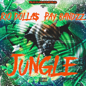 Jungle (Explicit)