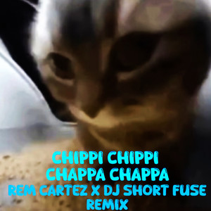 CHIPI CHIPI CHAPA CHAPA (Remix)