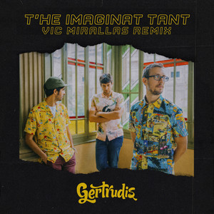 T'he Imaginat Tant (Remix)