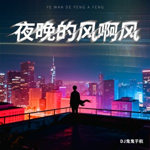 夜晚的风啊风
