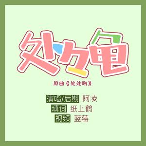 处处龟【博君一肖丨写给bxg】