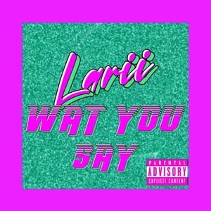 Wat You Say (Explicit)