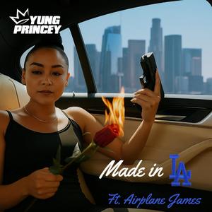 Made In LA (Kaila's Song) (feat. Airplane James) [REMIX] [Explicit]