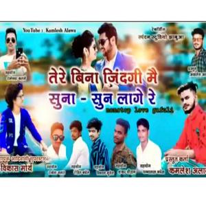 Tere Bina Zindagi Me(feat. Vikash Mourya)