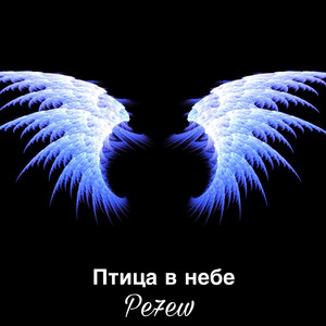 Птица в небе