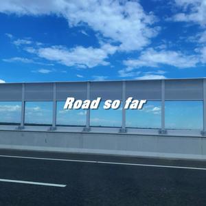 Road so far