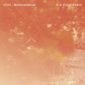 Old Pond - Machinefabriek Remix