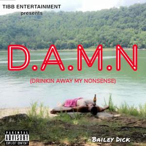 D.A.M.N (Drinkin Away My Nonsense) [Explicit]