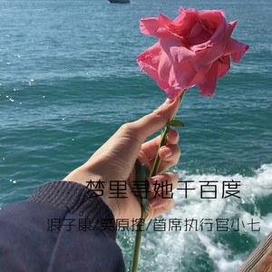 车载电摇 (Kang Mix)