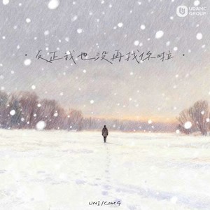 反正我也没再找你啦