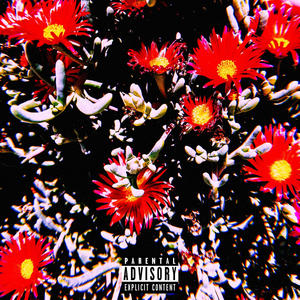 Late Registration (Explicit)