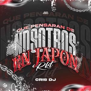 QUE PENSARAN DE NOSOTROS EN JAPON RKT