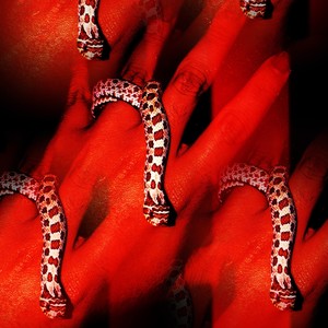 Electric Pulse(feat. Terr9r & Scarred) (Explicit)