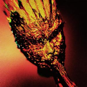 LINE3 +AMPLI (feat. Romann Garçon) (Explicit)