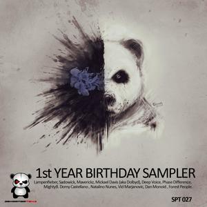 1st Year Birthday Sampler