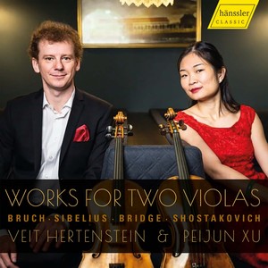 Veit Hertenstein - 8 Pieces for Clarinet, Viola & Piano, Op. 83 (Arr. for 2 Violas & Piano by Peijun Xu) - No. 2, Allegro con moto