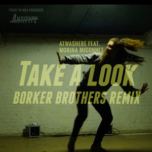 Take a Look (BorkerBrothers Remix)