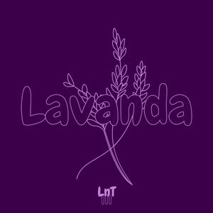 Lavanda