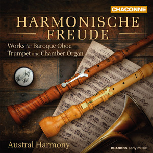Fantasia in G Minor for Oboe and Organ