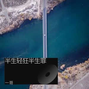 半生轻狂半生罪封面