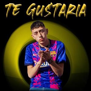 Te Gustaria (Explicit)
