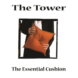 The Essential Cushion