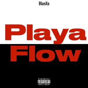 PlayaFlow (Explicit)