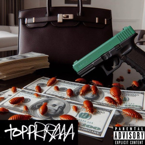 Bed Bugs and Birkin Bags (Explicit)