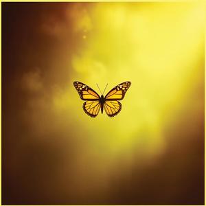 the dawn of a new man