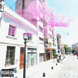 Ni la party ni los shows (Explicit)