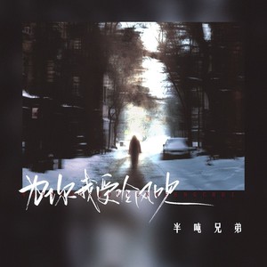 半吨兄弟《为你我受冷风吹》[MP3_LRC]_MP3下载