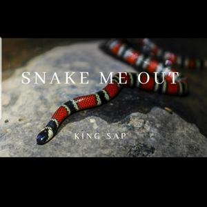 Snake Me Out (Explicit)