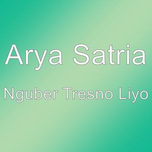 Nguber Tresno Liyo