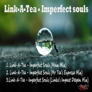 Imperfect Souls (Linka's Deepen Remix)
