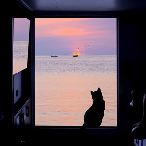 Booty Music (氛围版)