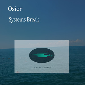 Systems Break