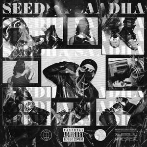 Seedha Saadha(feat. Hruday) (Explicit)
