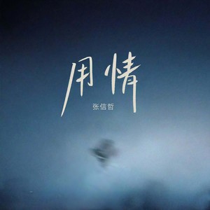 用情 (我用情付诸流水)封面
