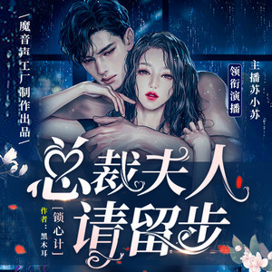 锁心计 245 爱的小船 (DJ长音频)封面