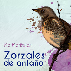 Zorzales de Antaño… No Me Dejes