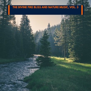 Dark Woodland Motion