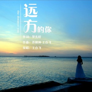 远方的你
