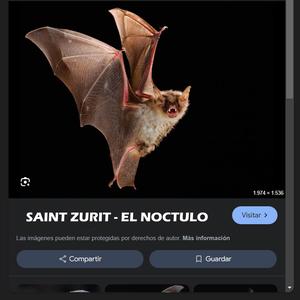 EL NOCTULO