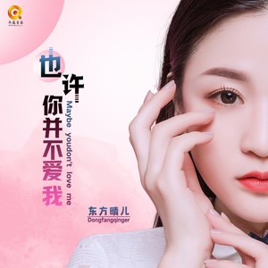 也许你并不爱我 (DJ何鹏版|DJ版)