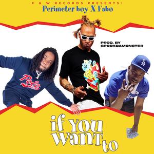 If You Want To (feat. Fabo & Perimeter Boy) [Radio Edit]