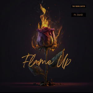 Flame Up (feat. Don D) (Explicit)