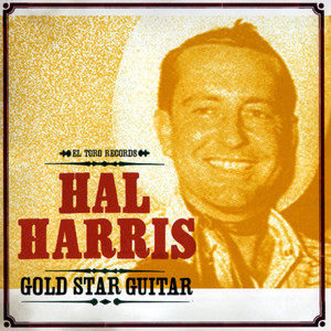 Gold Star Guitar