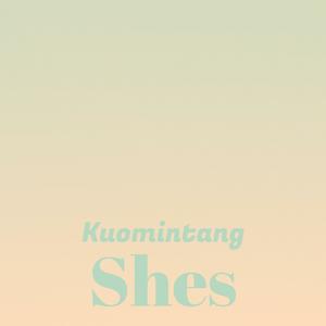 Starter Subsequently