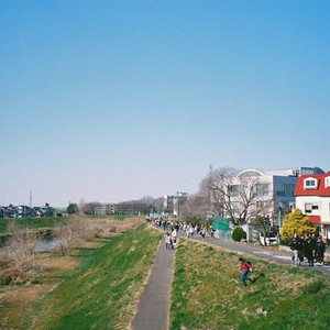 関取花 - わたしのねがい